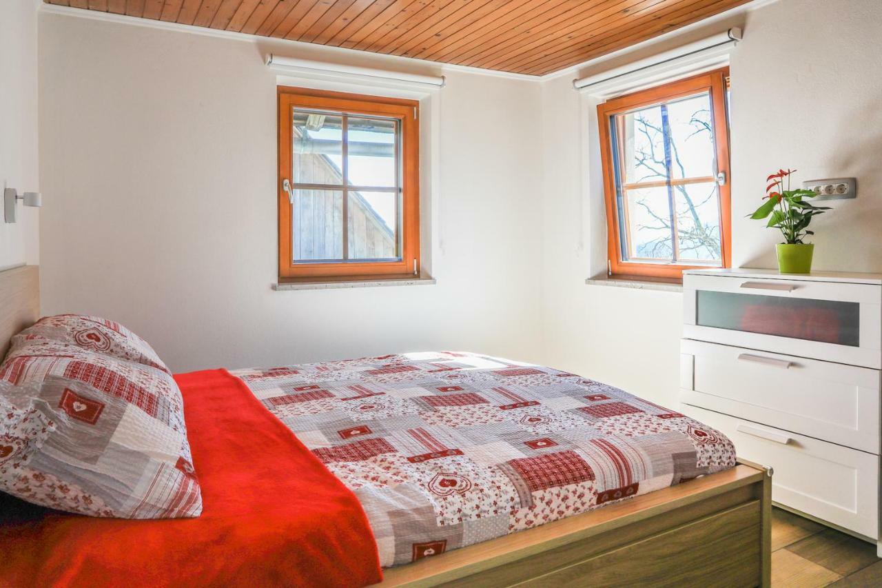 Apartmaji Tina Zgornje Gorje Buitenkant foto
