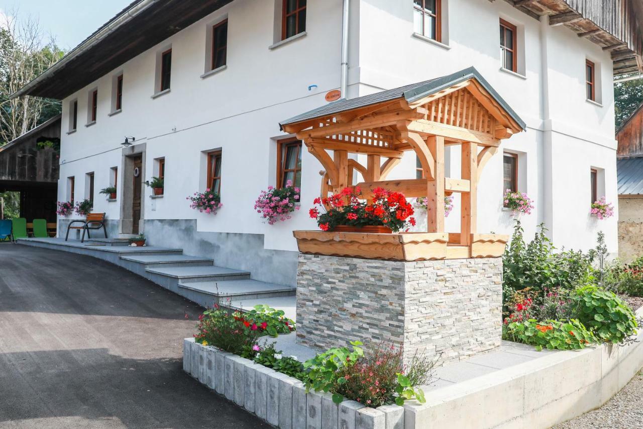 Apartmaji Tina Zgornje Gorje Buitenkant foto